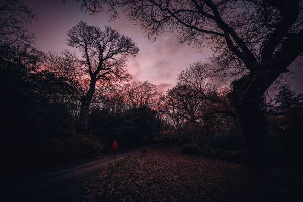 Mount Congreve Gardens will come alive with 'Poison & Petals: A Halloween Garden Tour' Mount Congreve Gardens will come alive with 'Poison & Petals: A Halloween Garden Tour'