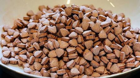 Highest dose of MDMA ever recorded in Ireland found at Electric Picnic