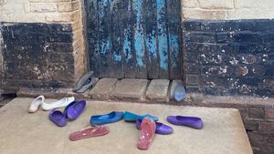 SETU Vice-President co-authors global prison health reform article