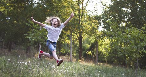 Catherine Drea: Sparking Joy