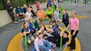Panda celebration in Waterford as playground paid for Panda celebration in Waterford as playground paid for