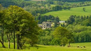 <p>Curraghmore House and areas in Portlaw feature in the new Belgian crime drama, 'This Is Not A Murder Mystery'</p>