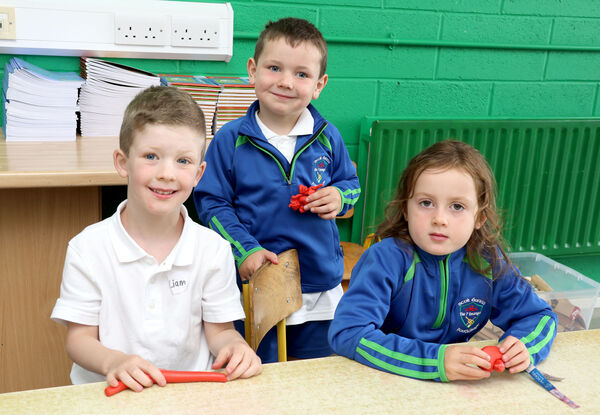  Beau, Liam and Conor, who started school at Gaelscoil Phort Lairge. Photo: Joe Evans