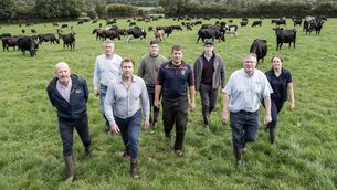 <p>Pictured at the recent Teagasc Grass10 farm walk in Ballyduff, Co Waterford on the farm of Michael Ahern, pictured centre, overall winner of the Sustainable Grassland Farmer of the Year award. Photo: O'Gorman Photography</p>
