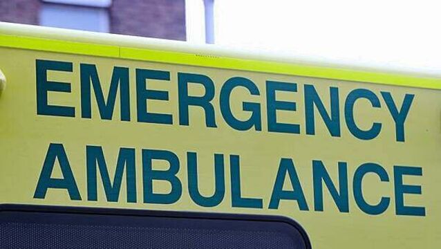 Three cows die after crash with ambulance and trucks in Co Donegal
