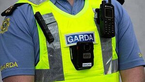 Taoiseach says gardaí fear lone wolf attack on politicians Taoiseach says gardaí fear lone wolf attack on politicians