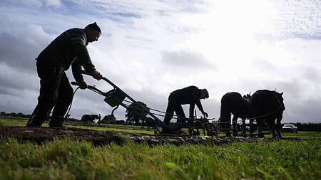 ‘Huge issue’ of trespassing and dog attacks discussed at Ploughing Championships