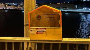 Missing ringbuoys in Waterford City: 'You could be stealing someone's last chance'