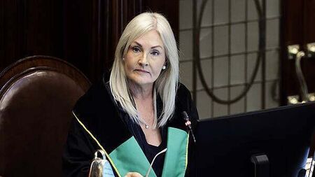 Ceann Comhairle urges action on fake social media accounts and false narratives