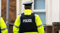 Police car damaged after being attacked by large crowd in Co Down