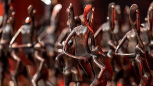 <p>Waterford have six nominations for the upcoming PwC Camogie All-Star Awards 2025. Photo: INPHO</p>