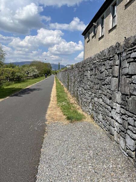 Effects of cosmetic spraying in Tramore.