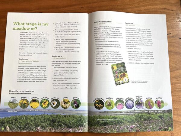 Meadow in Tramore in the National Biodiversity Data Centre’s booklet. 
