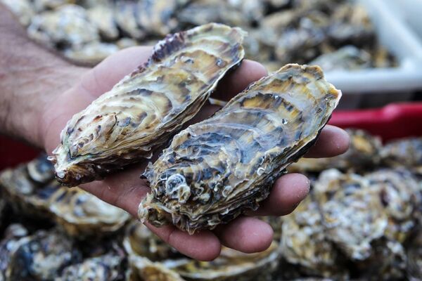 Residents are complaining of an 'odour' emanating from Woodstown Beach where Oyster beds were brought in around 15 years ago.