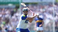 Bennett and Fitzgerald nominated for Hurling All-Stars