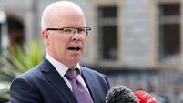 Áontu leader says there is a 'groundswell of support' for Maria Steen
