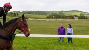 <p>Showing his support for the Bachelor of Veterinary Medicine programme at South East Technological University, one of Ireland’s leading National Hunt trainers, Henry de Bromhead, is pictured with Mary-Kate Burke, SETU’s Head of the Department of Veterinary Medicine, at Henry de Bromhead Racing, Knockeen in Waterford. Photo: Patrick Browne</p>