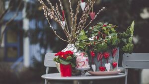 Green Fingers: A small effort will produce colour in winter