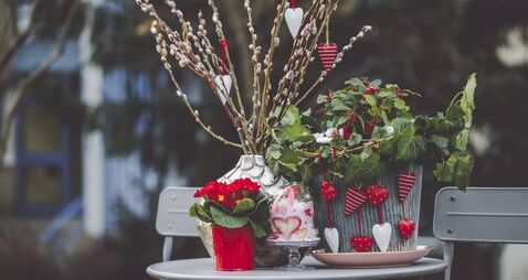 Green Fingers: A small effort will produce colour in winter