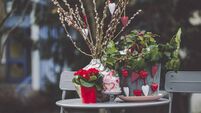 Green Fingers: A small effort will produce colour in winter
