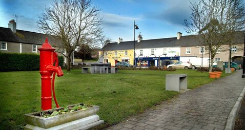 Local Notes: Little Dribblers academy, recent deaths and more news from Stradbally