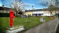 Local Notes: Little Dribblers academy, recent deaths and more news from Stradbally