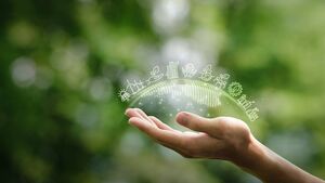 Going green: Sustainable living workshops to take place across Waterford 