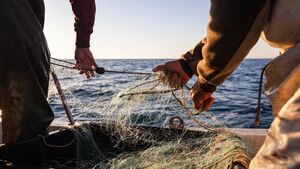 Waterford TD calls for action to stop family boats from being locked out of fish quotas