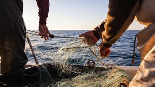 <p>Family boats are being locked out of quotas, according to Deputy McGuinness. Stock Image.</p>