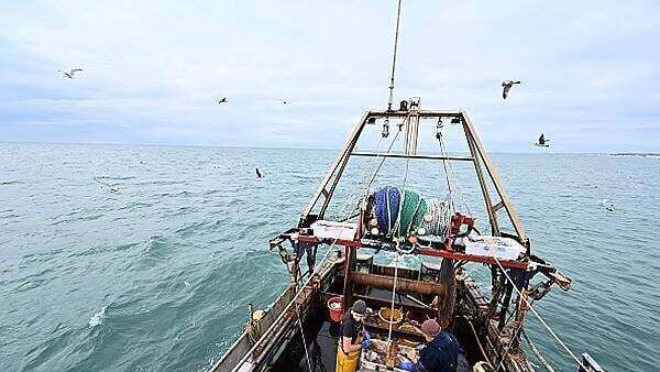 New fishing rules for trawlers