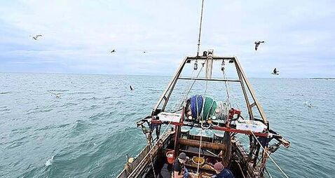 New fishing rules for trawlers