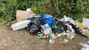 Will CCTV tackle 'out of hand' rubbish dumping in rural Waterford? 
