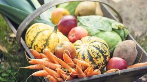 Green Fingers: Enjoy gardening without being a gardener
