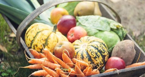 Green Fingers: Enjoy gardening without being a gardener