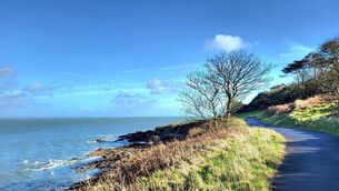 <p>Helvick Head. Picture by Shannon Sweeney.</p>