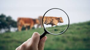 Ferrybank student's sustainable farming project makes national competition final