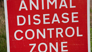 Man (50s) dies in Roscommon traffic incident