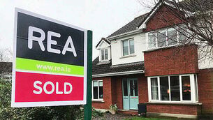 MEP candidate calls out Government's 'disastrous' handling of accommodation crisis
