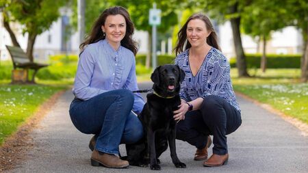 SETU welcomes funding to support new veterinary school in Waterford 