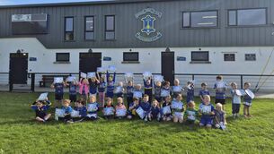 <p>Well Kids: Each of the kids received a certificate of participation and a small treat.</p>