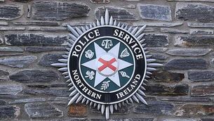 Electric Picnic attendees advised to look after their 'festival health'