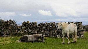 Irish folklore in Meath and Laois: Gates that won't close and the House of Death