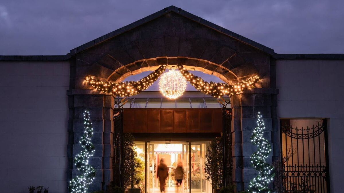 Christmas celebrations at Mount Congreve