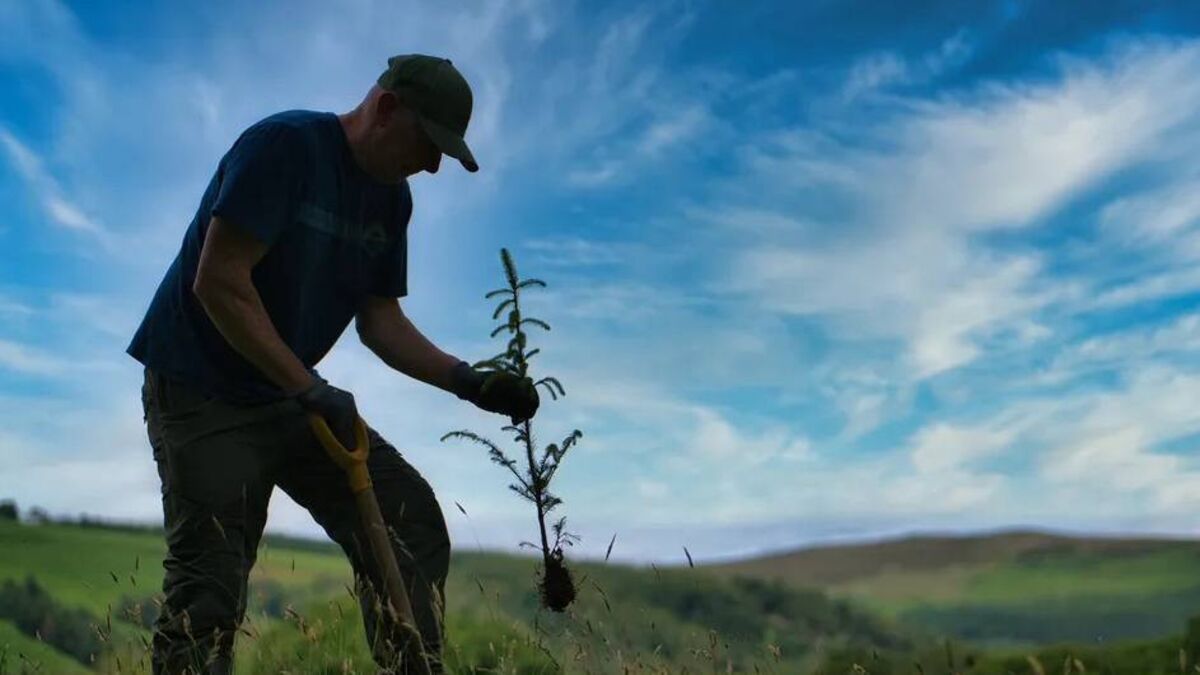 Workshops on the economic benefits of forestry to take place in locations across the country