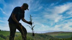 Workshops on the economic benefits of forestry to take place in locations across the country Workshops on the economic benefits of forestry to take place in locations across the country