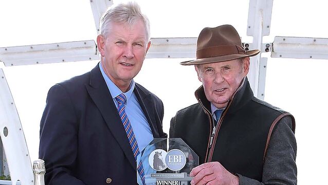 Venusienne and Cousin Kate impress at tremedous Tramore Races