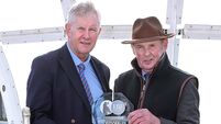 Venusienne and Cousin Kate impress at tremedous Tramore Races