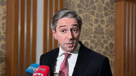 Tánaiste willing to ‘engage’ on cadet pay