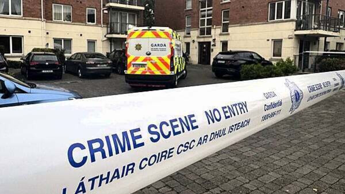 Teenager killed in suspected stabbing named by Ukrainian Embassy