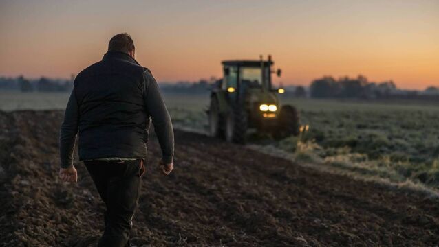 <p>Government failing Waterford tillage farmers as crisis deepens. Stock image</p>